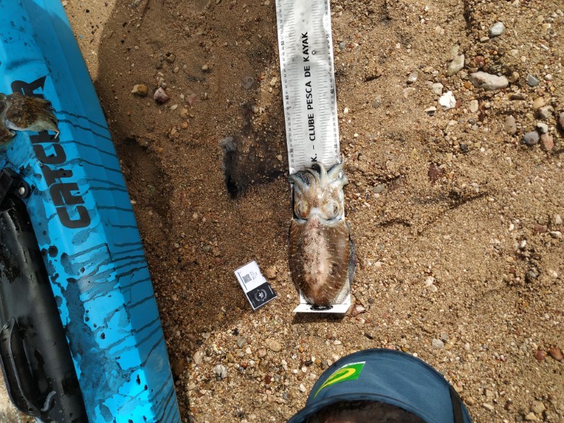 Fish Measure Picture